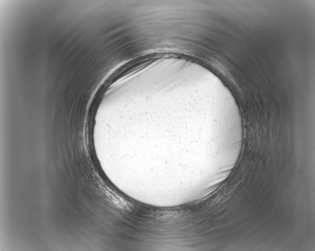 X0000059801076200511181508