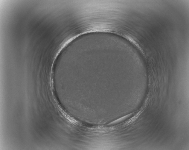 X0000059801077200511181508