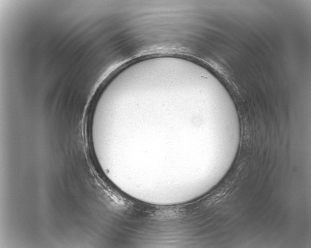 X0000059801078200511181508