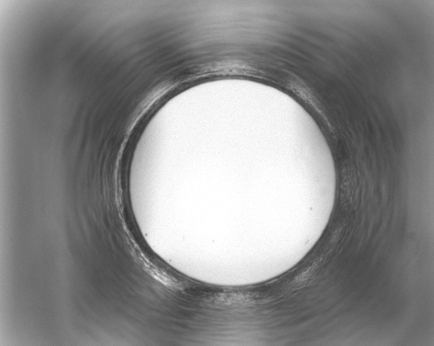 X0000059801082200511181508