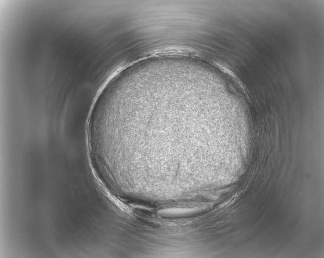 X0000059801083200511181508