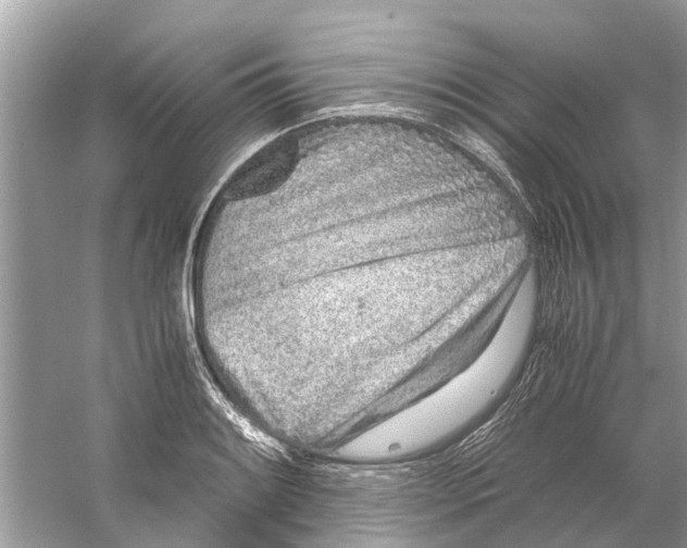 X0000059801084200511181508