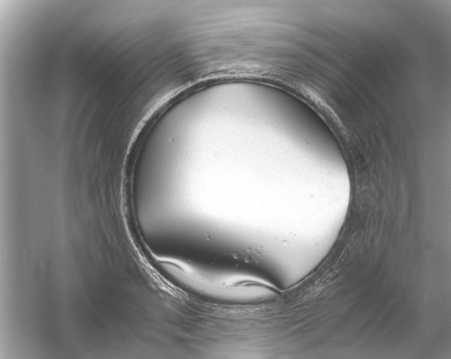 X0000059801085200511181508