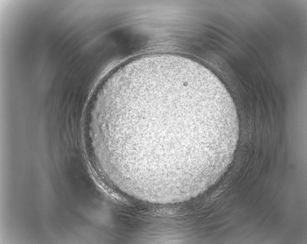 X0000059801086200511181508