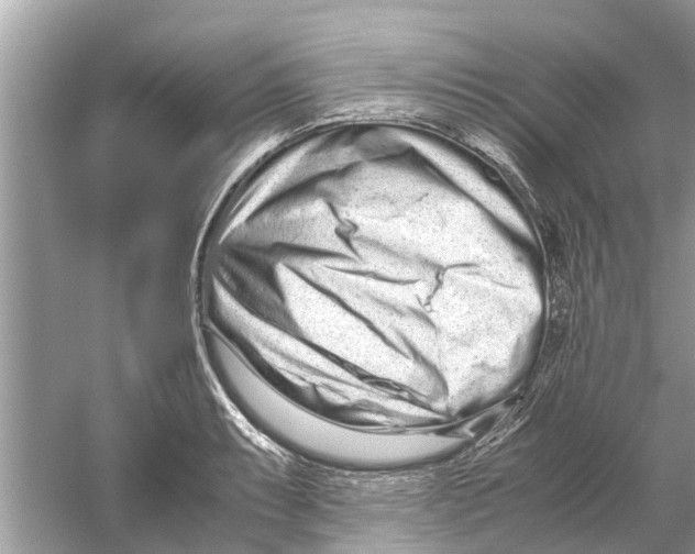 X0000059801087200511181508