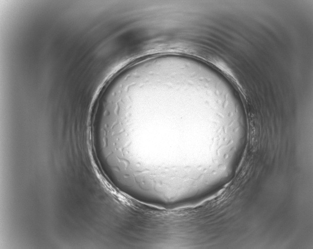 X0000059801088200511181508