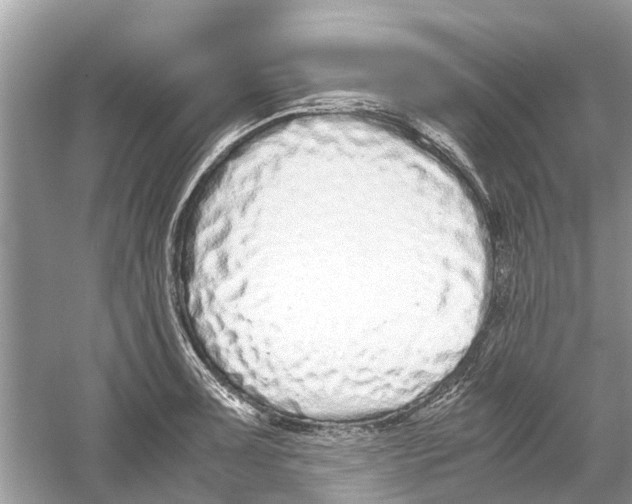 X0000059801091200511181508