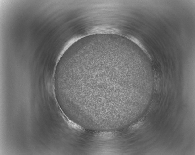 X0000059801094200511181508