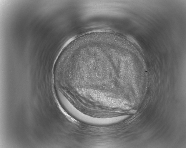 X0000059801095200511181508