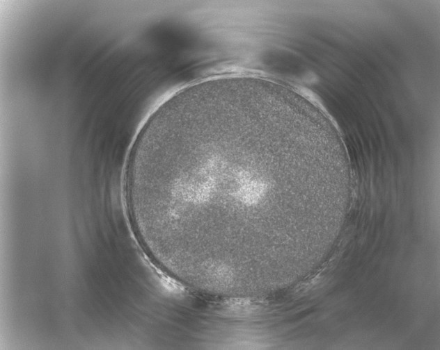 X0000059801098200511181508