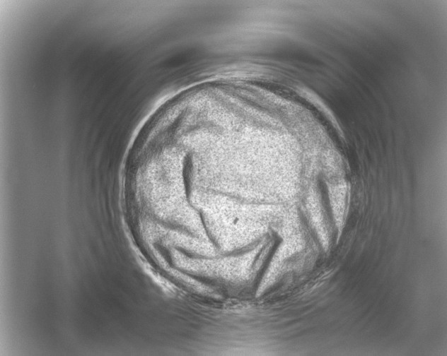 X0000059801099200511181508