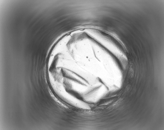 X0000059801100200511181508