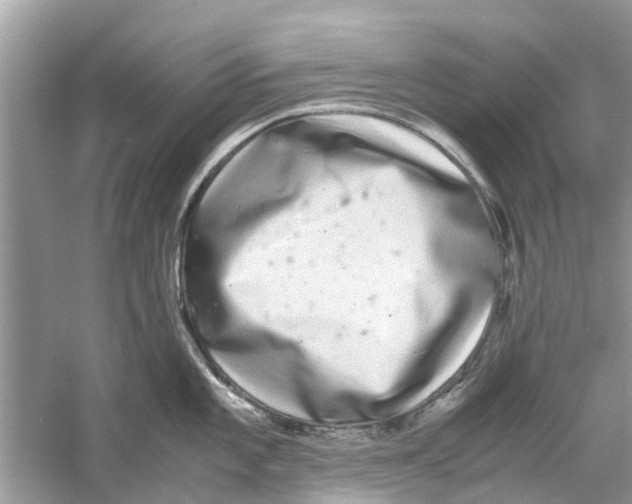 X0000059801101200511181508