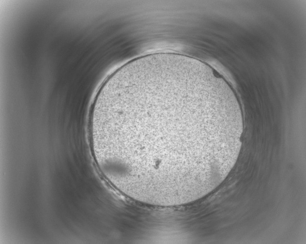 X0000059801104200511181508