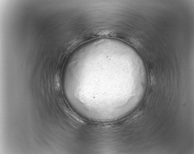 X0000059801106200511181507