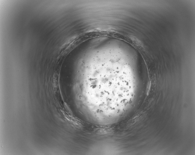 X0000059801110200511181507