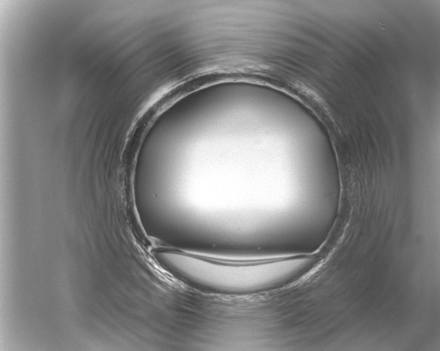 X0000059801114200511181507