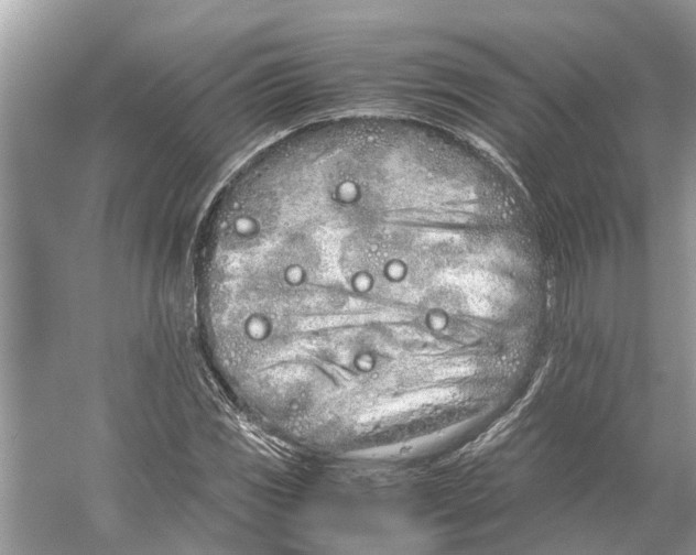 X0000059801117200511181507