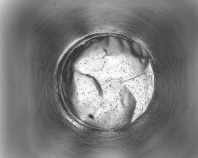 X0000059801120200511181507