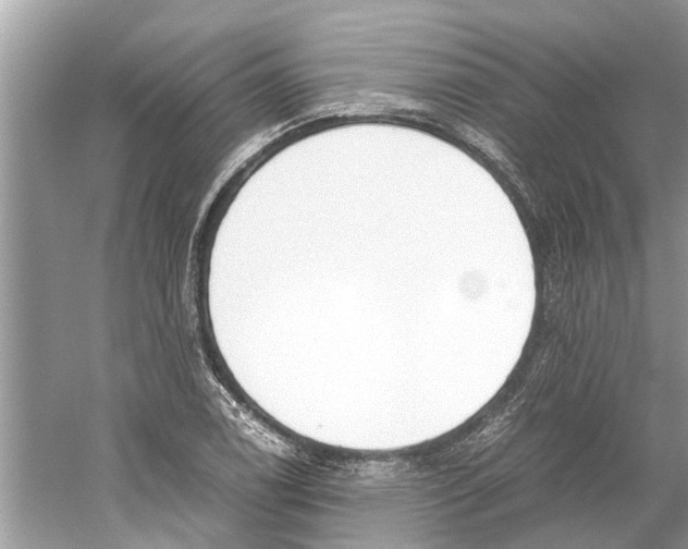 X0000059801122200511181507