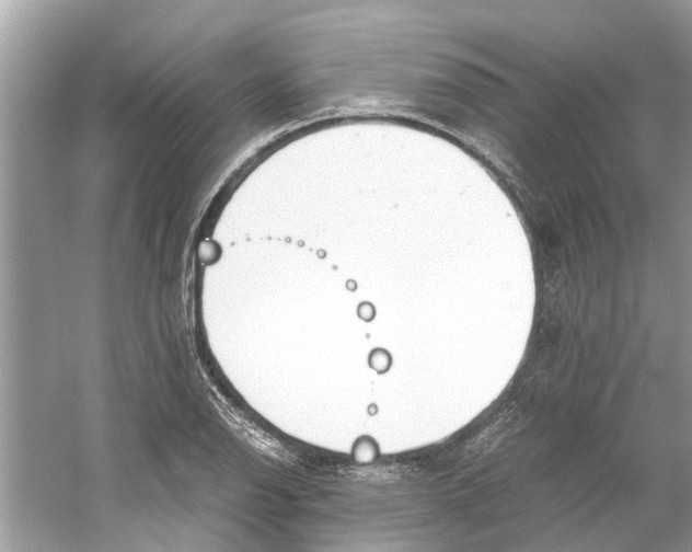 X0000059801126200511181507