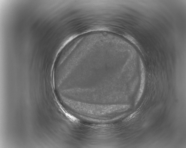 X0000059801127200511181507