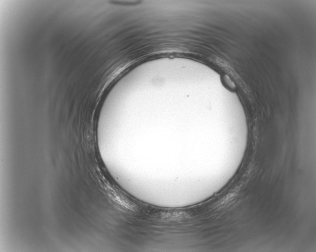 X0000059801129200511181507