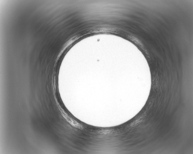 X0000059801130200511181507