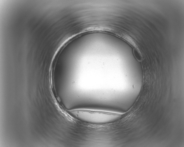 X0000059801132200511181507