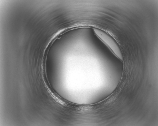 X0000059801134200511181507