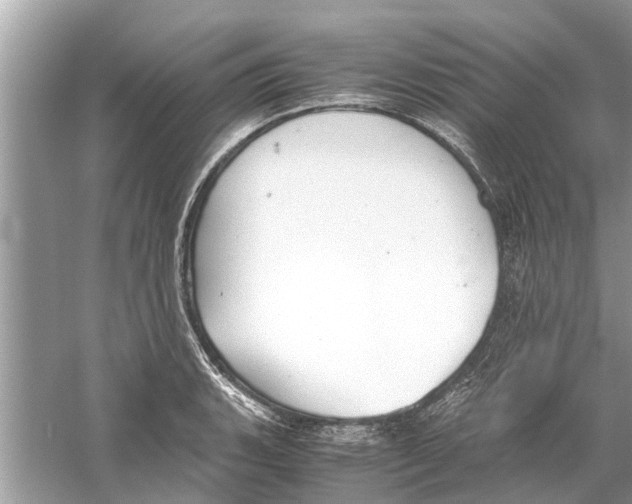 X0000059801135200511181507