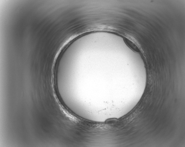 X0000059801136200511181507