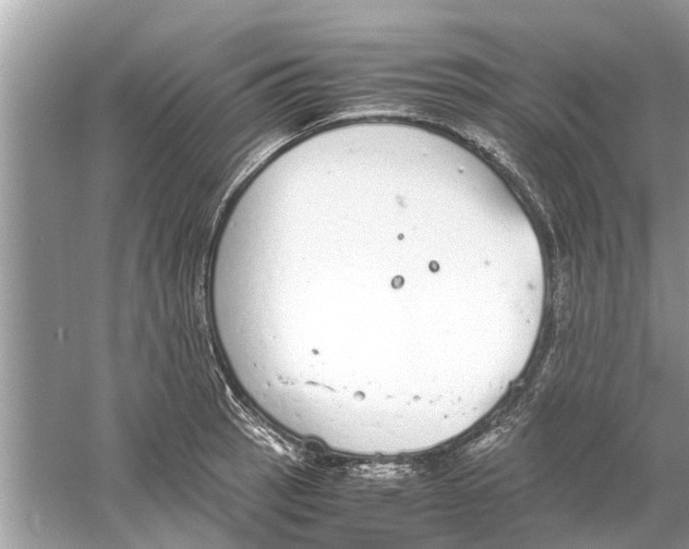 X0000059801137200511181507