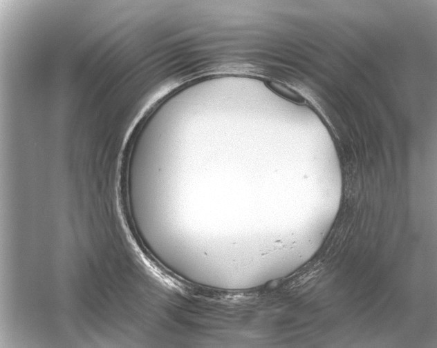 X0000059801139200511181507