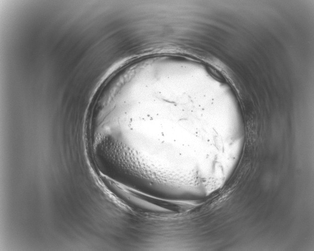 X0000059801142200511181507