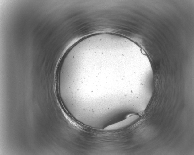 X0000059801143200511181507