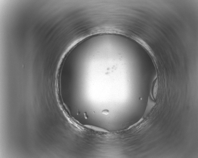 X0000059801144200511181508