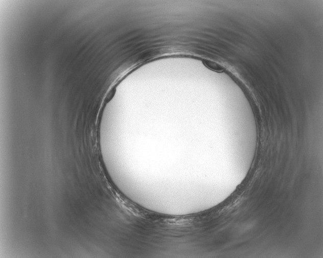 X0000059801145200511181508