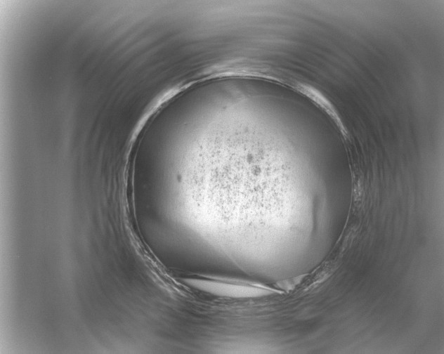 X0000059801146200511181508