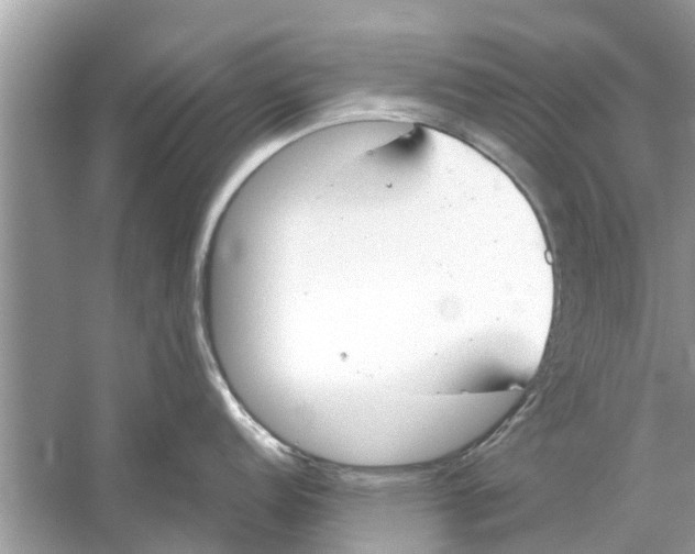 X0000059801152200511181508