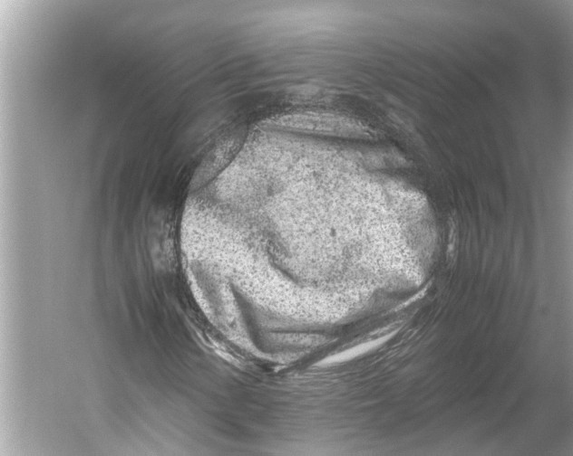 X0000059801154200511181507