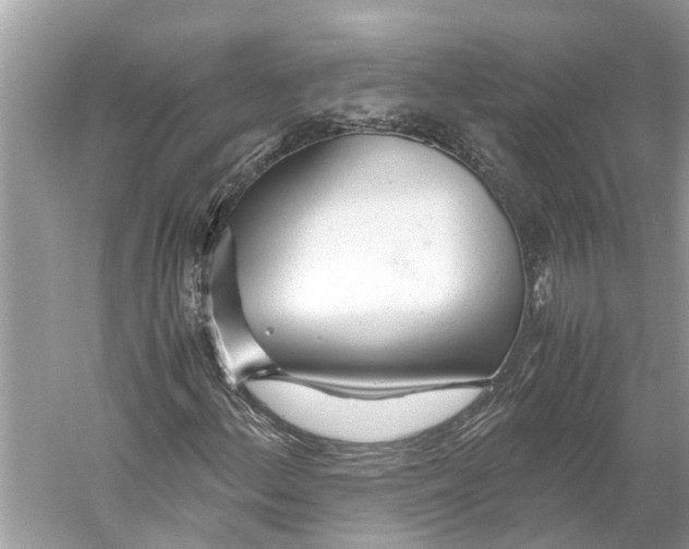 X0000059801156200511181507