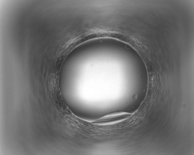 X0000059801157200511181507