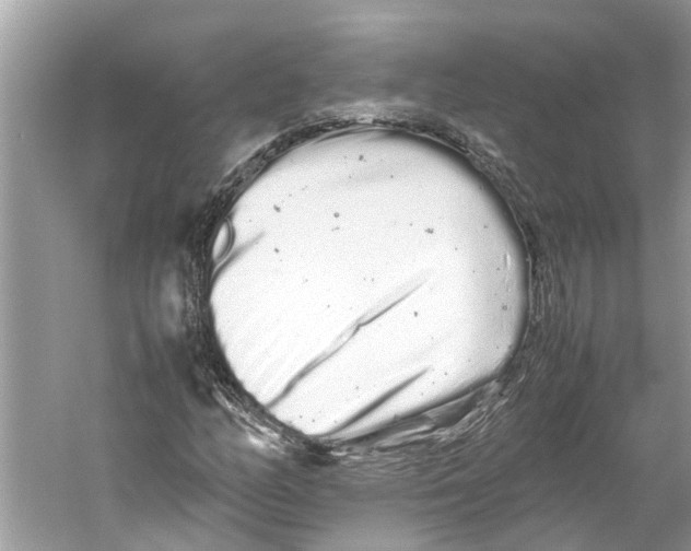 X0000059801158200511181507