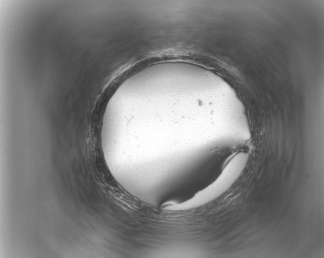 X0000059801160200511181507