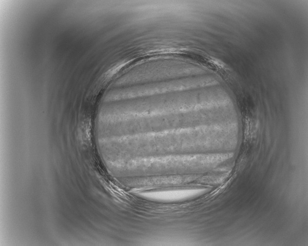 X0000059801161200511181507