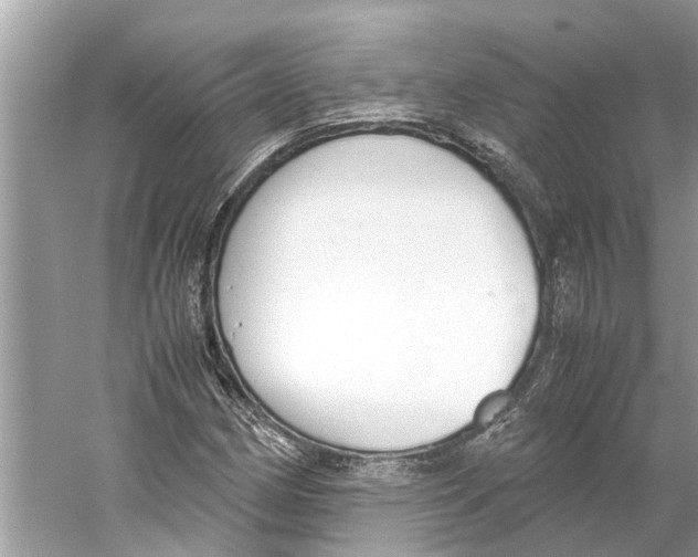 X0000059801162200511181507