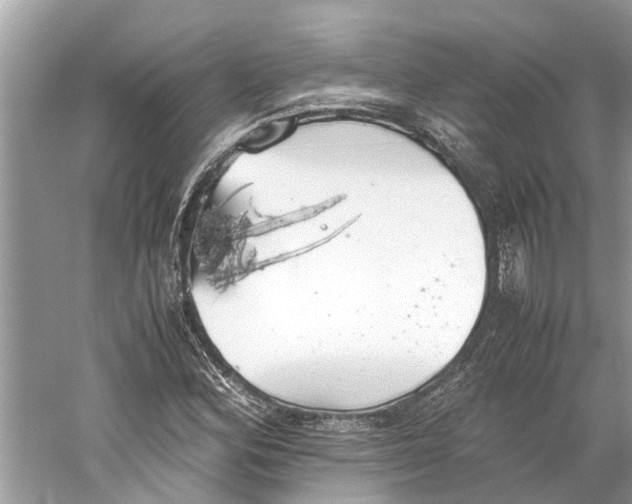 X0000059801164200511181507