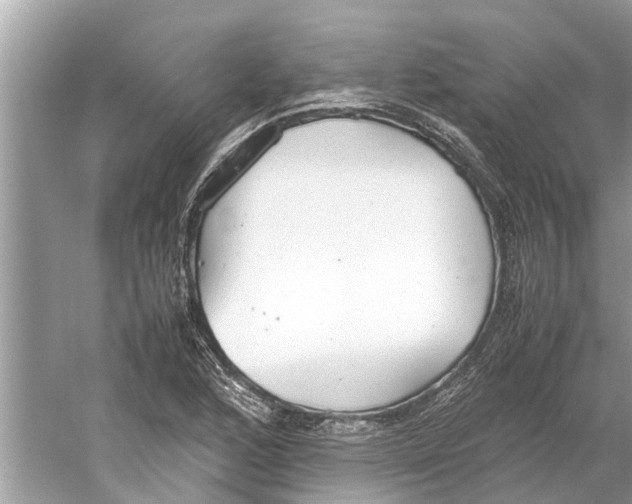 X0000059801168200511181507