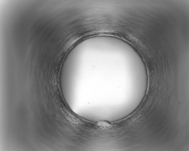 X0000059801169200511181507